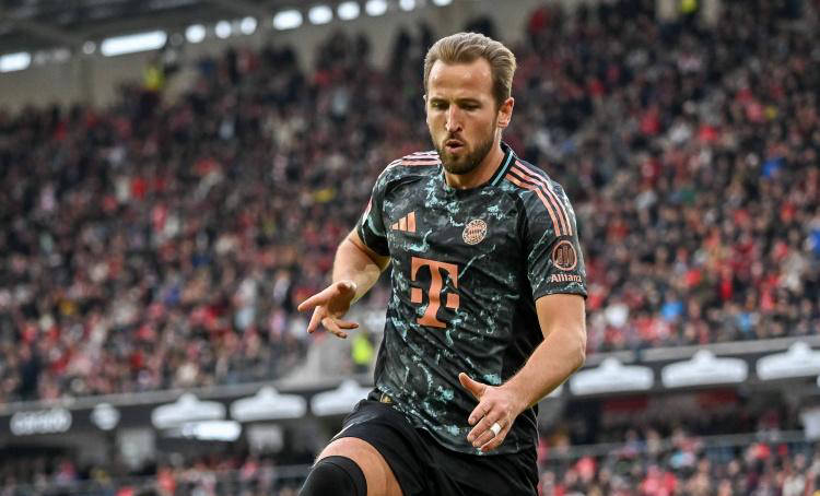 馆已经成为 馆已经成为