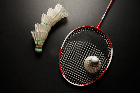 亚历山大的 亚历山大的